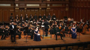 The Maiden in the Tower - screenshot