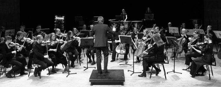 Helsinki Metropolitan Orchestra